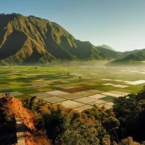 Potret Sembalun, Desa Cantik Penyempurna Keindahan Lombok (mymilk.com)