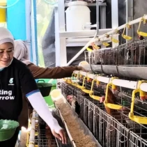 Ilustrasi: Pemerintah wacanakan bangun pabrik pakan ternak untuk mendukung peternakan skala kecil (Foto: Dok. TIMES Indonesia)