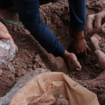 Lokasi penambangan emas ilegal di kawasan perbukitan Desa Prabu Dundang, Kecamatan Kuta, Lombok Tengah, NTB, berada tak jauh dari Kawasan Ekonomi (KEK) Mandalika (Dok. Antara)