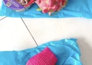 Paket MBG siswa yang disorot publik usai temuan roti berjamur (Doc. korancepat.com)