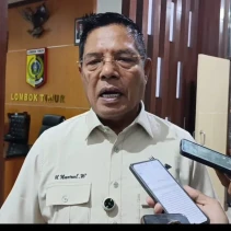 H. Haerul Warisin (SuaraNTB/dok)