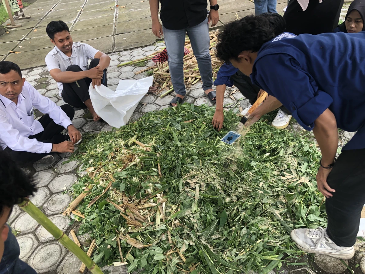 Proses Pelatihan Pemanfaatan Limbah Pertanian di Korleko Selatan Oleh Mahasiswa KKN Unram