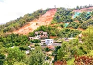 DPRD NTB Sorot Deforestasi di Wilayah Lombok Selatan