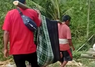 Warga Dusun Gerebegan Desa Jembatan Gantung Kecamatan Lembar digotong ke fasilitas kesehatan, namun sayang akibat jalan rusak, warga yang sakit ini tidak bisa sampai tujuan dan menyebabkan korban meninggal