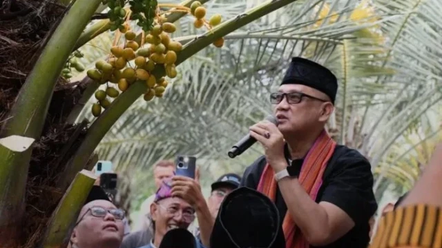 Menteri Haji dan Umrah, Muhammad Irfan Yusuf, saat melihat dari dekat kurma yang sedang berbuah di luar musim di Dusun Jugil, Desa Samik Bangkol, Kecamatan Gangga, KLU.