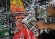 Ilustrasi harga plastik naik (Dok. CNN Indonesia)