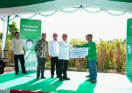 Panen Raya Jagung (doc.istimewa)