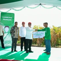 Panen Raya Jagung (doc.istimewa)