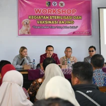 Workshop sterilisasi dan vaksinasi anjing liar (Doc. Istimewa)