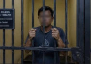 Ilustrasi Al seorang pria berinisial HJ alias PO (39), warga Kecamatan